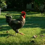 Armira Πάρκο διακοπών Çıralı