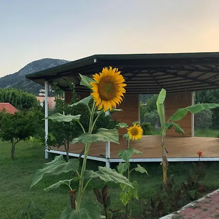 Armira Holiday park