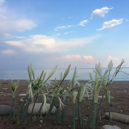 Armira Semesterpark 3*