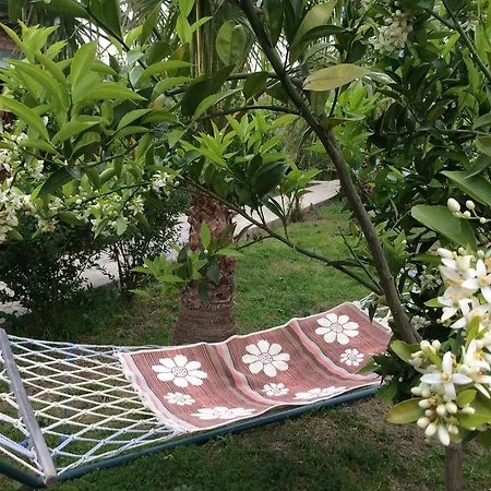 Armira Holiday park Cirali