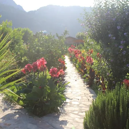 Semesterpark Armira Çıralı