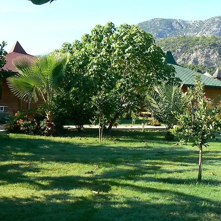 Armira Çıralı