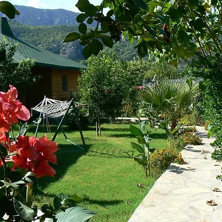 Armira Çıralı