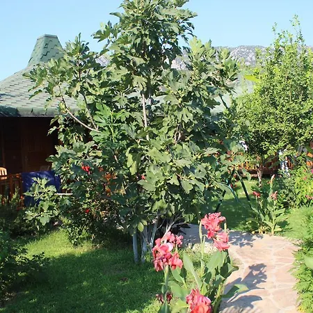 Parc de vacanță Armira Çıralı