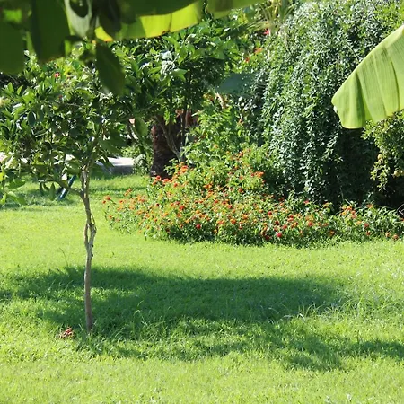 Parc de vacanță Armira